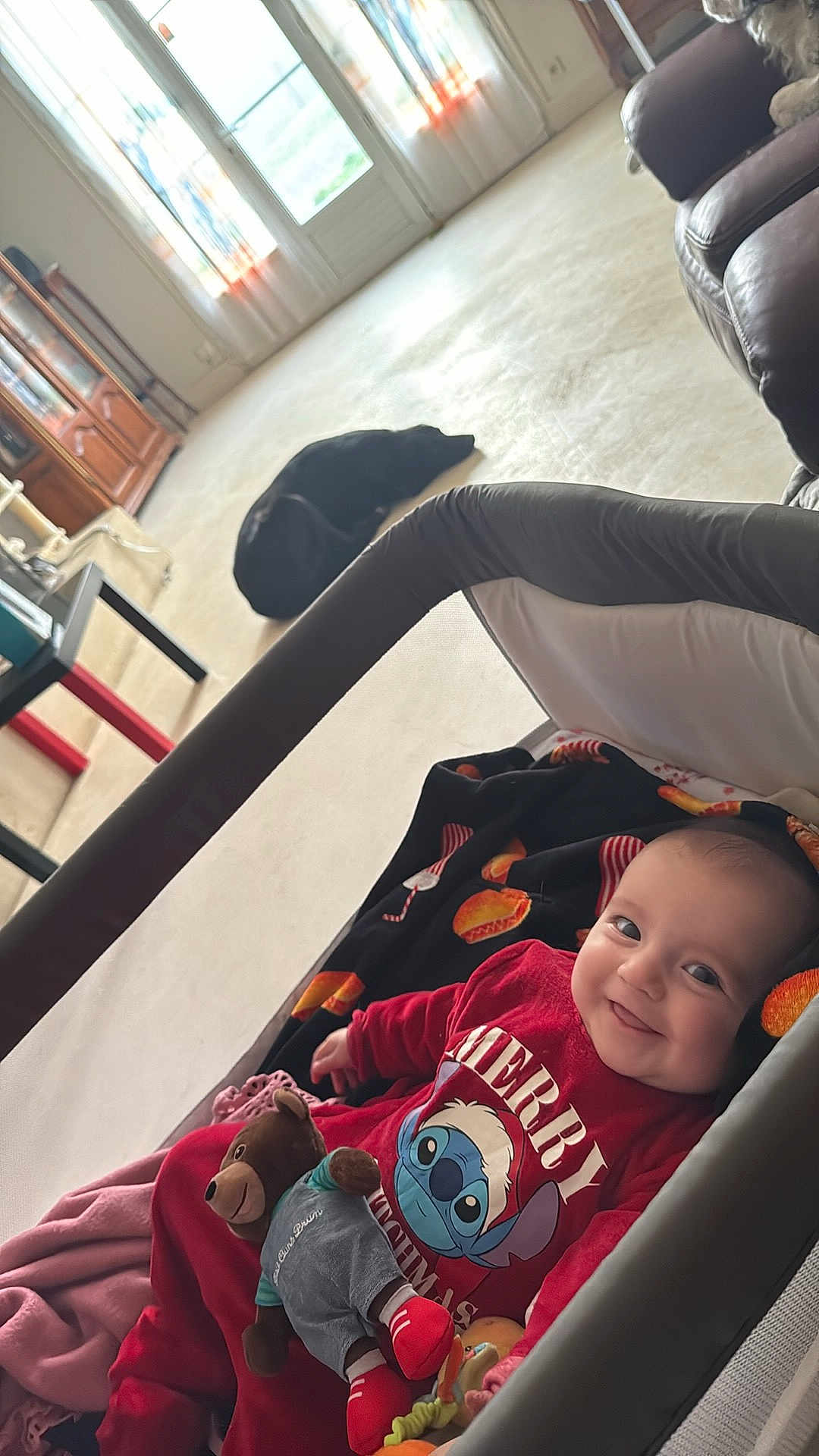 Emy participe au concours pour gagner de l'argent avec cette photo : baby, infant, smiling, stuffed_toy, bear, playpen, blanket, red_clothing, living_room, dog, black_dog, carpet, curtains, window, sunlight, furniture, cozy, indoor, child, happy