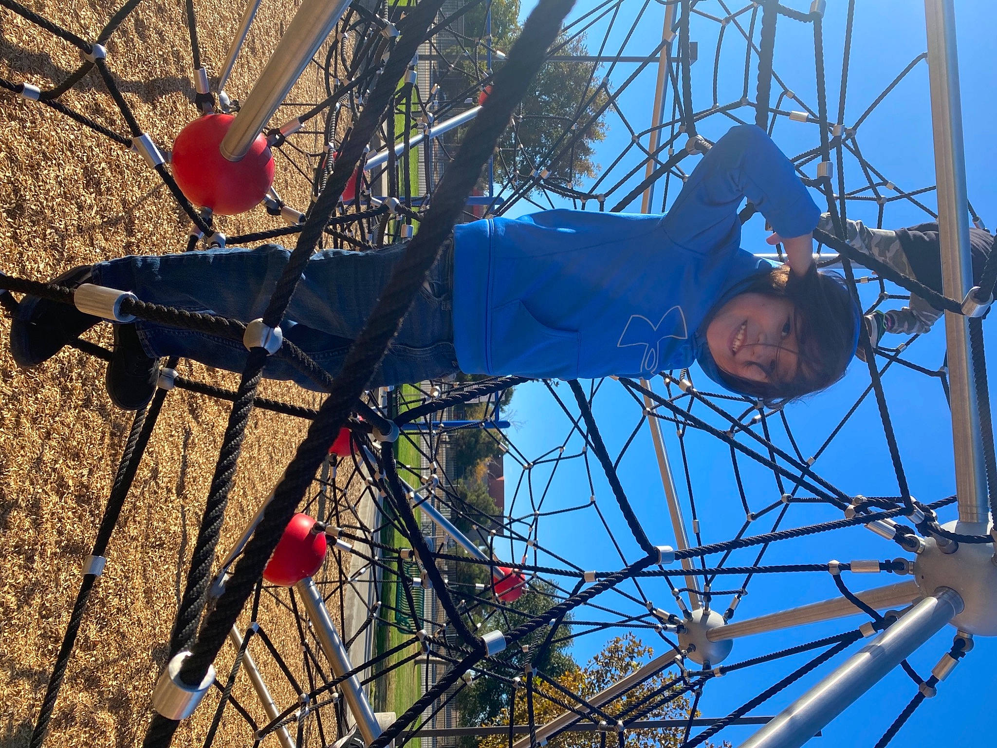 Nico joined the competition — help win amazing prizes! branch, electric_blue, electrical_supply, electricity, fun, joy, leisure, line, mammal, nature, organism, overhead_power_line, person, pole, public_utility, sky, telecommunications_engineering, transmission_tower, tree, twig