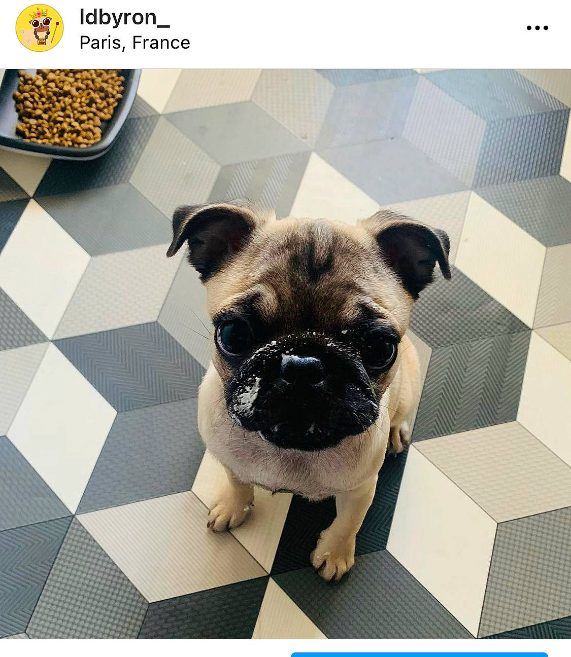 Byron a rejoint le concours — aidez-le/la à gagner de superbes lots ! camera_accessory, cameras_optics, canidae, carnivore, companion_dog, dog, dog_breed, fawn, flooring, font, metal, non_sporting_group, pattern, pug, rectangle, snout, sporting_group, square, toy_dog, working_animal