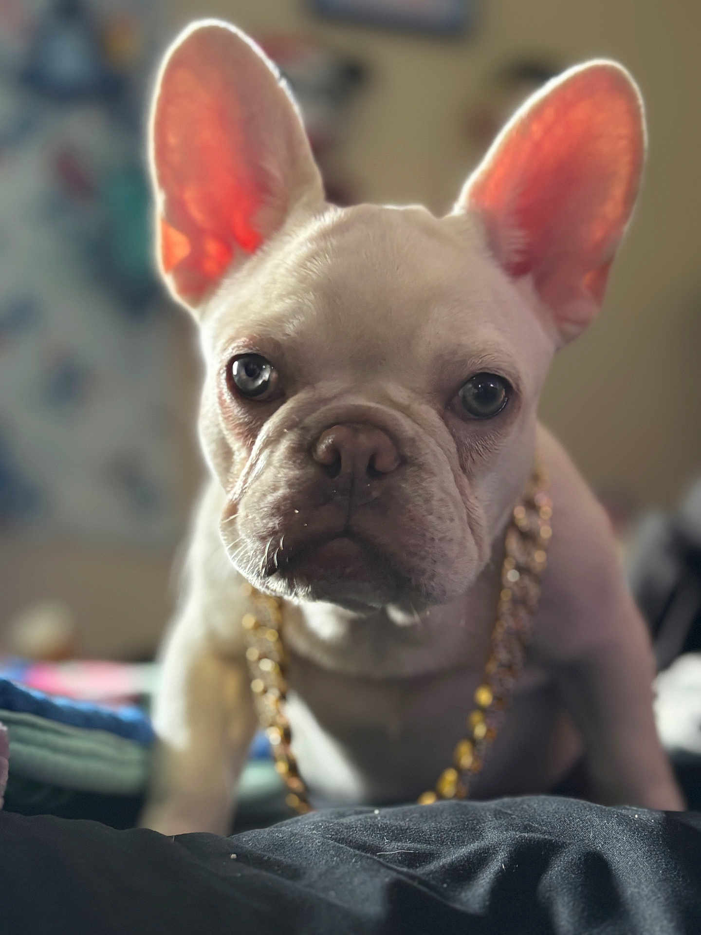 Luna