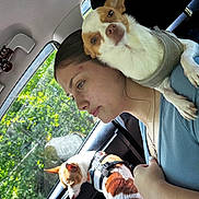 Marlin And Nemo is registered to the contest to win money with this photo: animal, car_interior, casual, companion, daytime, dog, greenery, harness, human, natural_light, pet, portrait, resting, seat, shoulder, side_profile, sweater, travel, window, woman