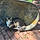 Johnnycat