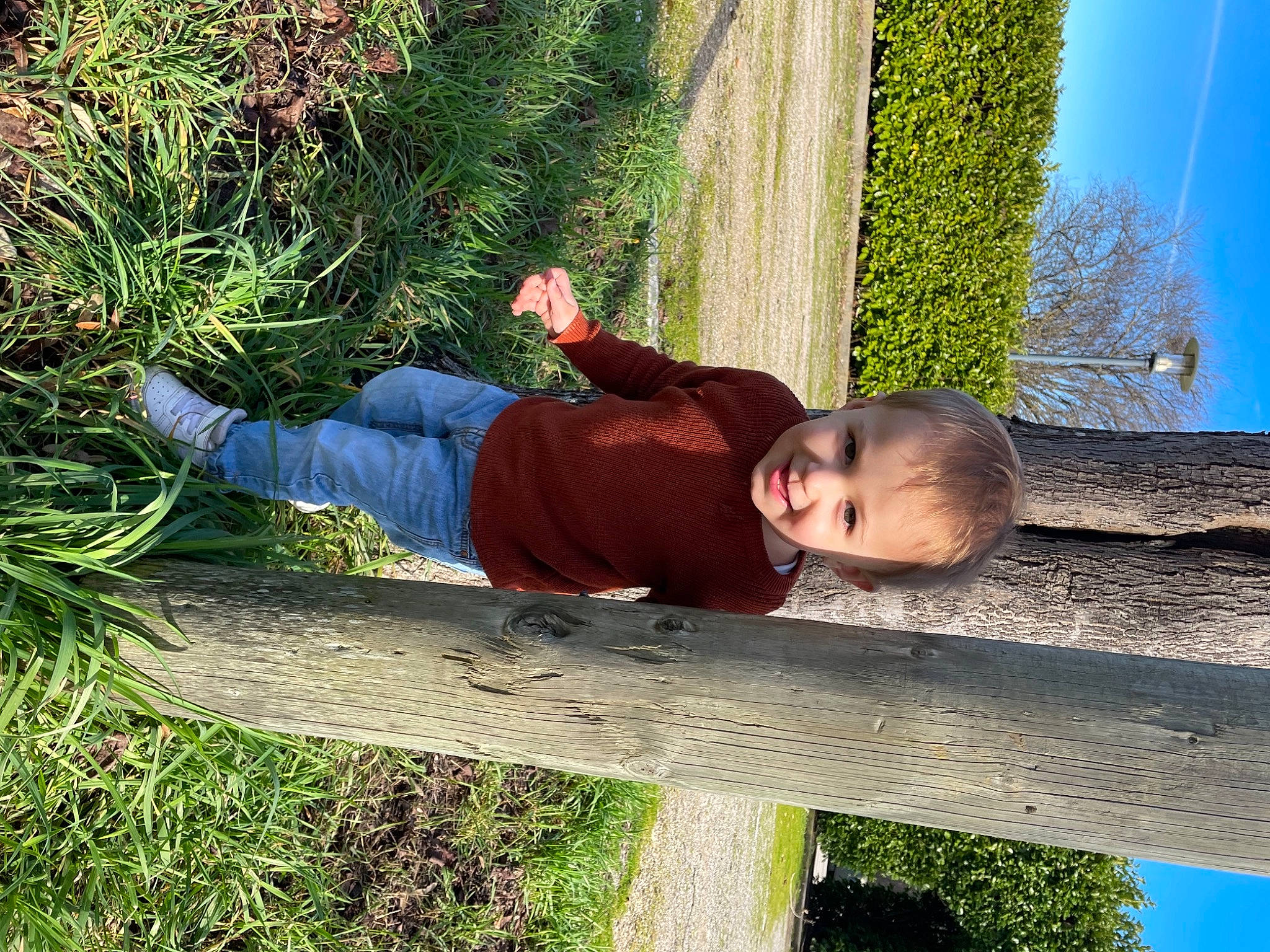 Iron participe au concours pour gagner de l'argent avec cette photo : baby, baby_toddler_clothing, botany, child, fence, fun, grass, grass_family, groundcover, happy, joy, leaf, leisure, people_in_nature, person, plant, sitting, sky, toddler, tree