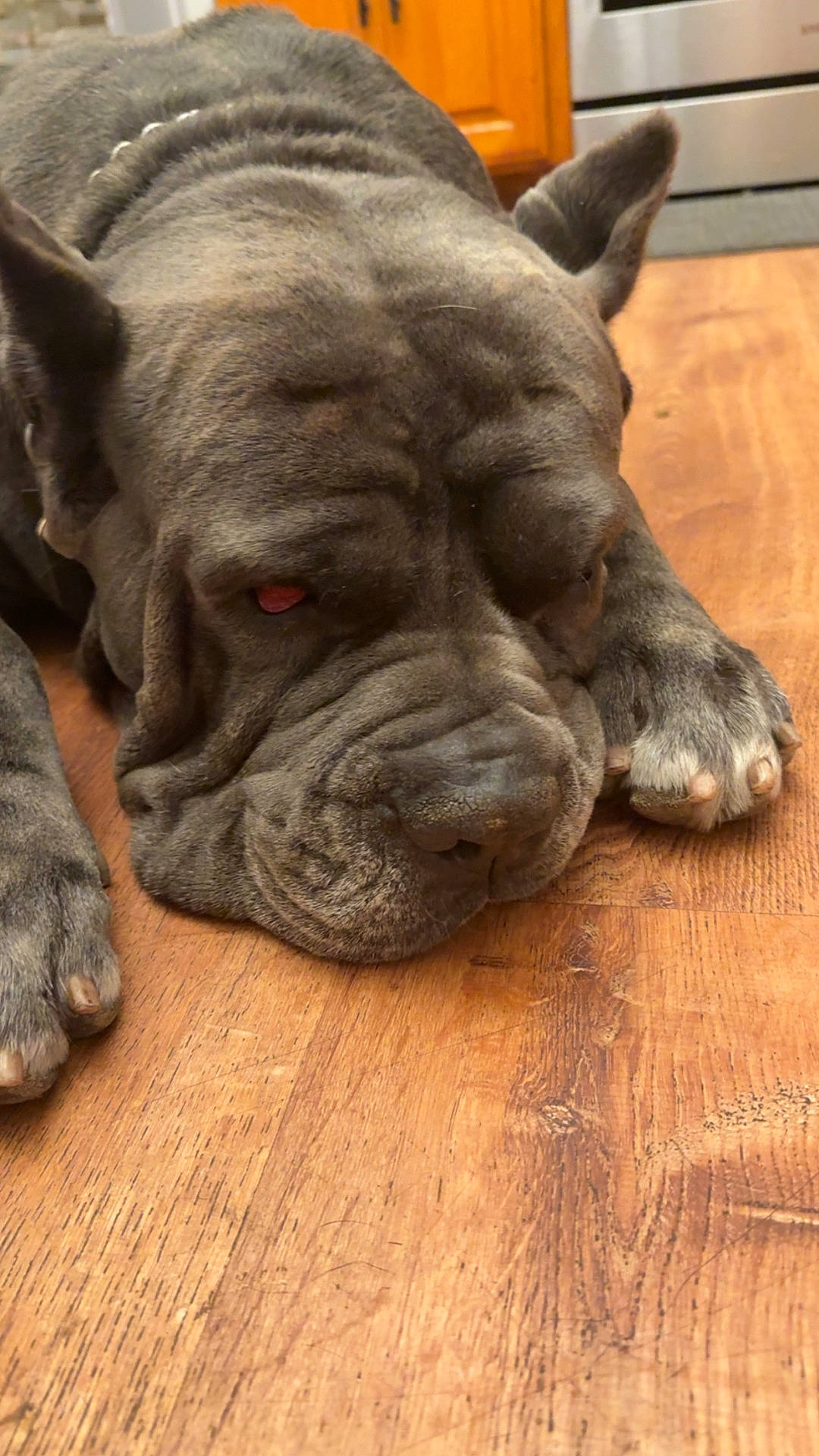 Bruno