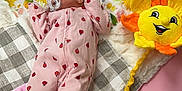 Rainie joined the competition — help win amazing prizes! animal, baby, bed, blanket, canine, clothing, crib, cushion, dog, face, furniture, head, homedecor, infantbed, person, pet, photography, portrait, sleeping, toy