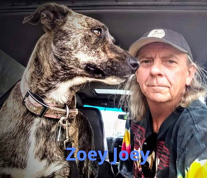 Zoey Girl is registered to the contest to win money with this photo: baseball_cap, beard, cap, carnivore, collar, companion_dog, dog, dog_breed, dog_collar, event, fashion_accessory, fur, giant_dog_breed, happy, leash, sighthound, snout, sporting_group, terrestrial_animal, working_animal