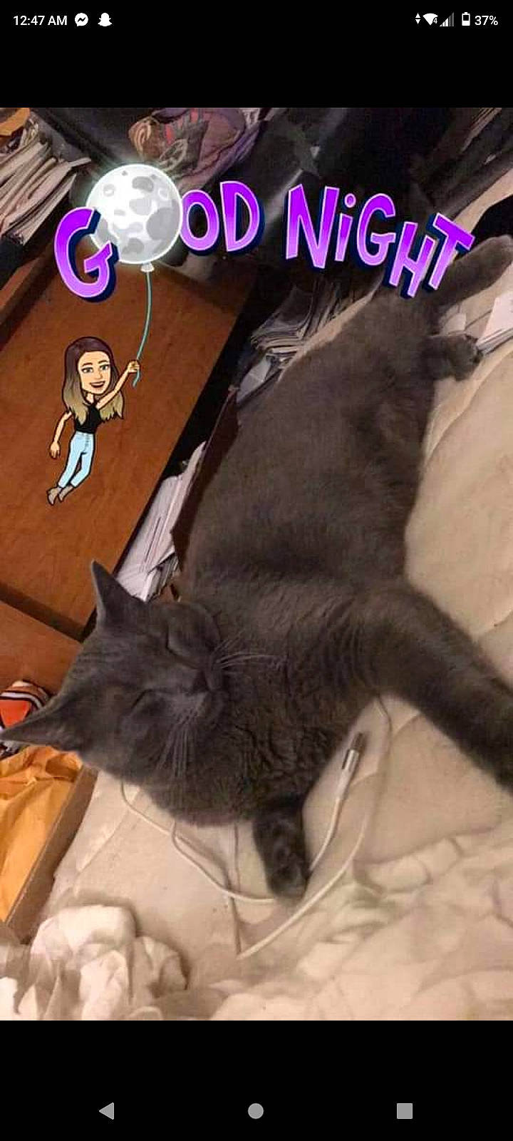 George is registered to the contest to win money with this photo: black_cat, book_cover, carnivore, cat, claw, comfort, domestic_short_haired_cat, felidae, font, fur, linens, mammal, paw, photo_caption, small_to_medium_sized_cats, tail, terrestrial_animal, textile, vertebrate, whiskers