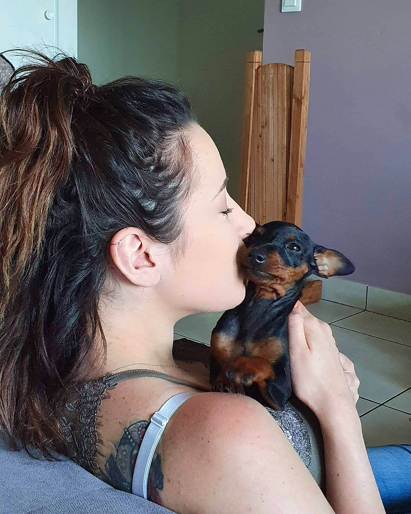 Raïko a rejoint le concours — aidez-le/la à gagner de superbes lots ! canidae, carnivore, companion_dog, dog, dog_breed, ear, fawn, hair, hairstyle, long_hair, neck, puppy_love, russkiy_toy