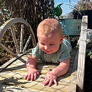 River is registered to the contest to win money with this photo: baby, infant, child, crawling, wooden_board, garden, sunlight, shadow, smile, hands, face, fence, metal_chainlink, planter, decorative_bird, wooden_wheel, outdoor, greenery, clothing, portrait