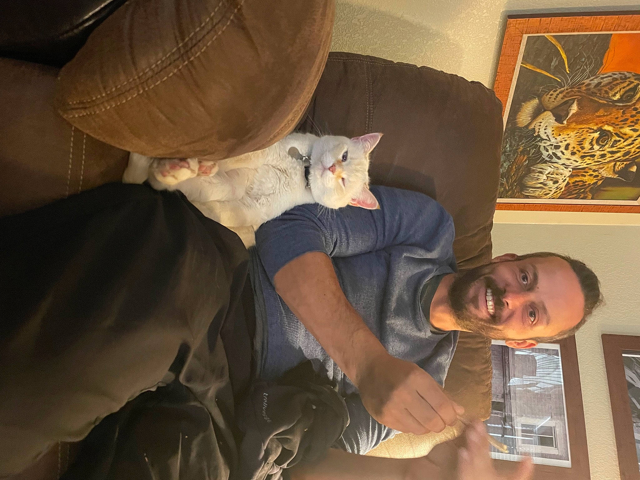 Kova joined the competition — help win amazing prizes! art, bed, carnivore, cat, comfort, couch, elbow, eyewear, felidae, fun, fur, human_leg, lap, linens, organ, picture_frame, sitting, small_to_medium_sized_cats, t_shirt, whiskers