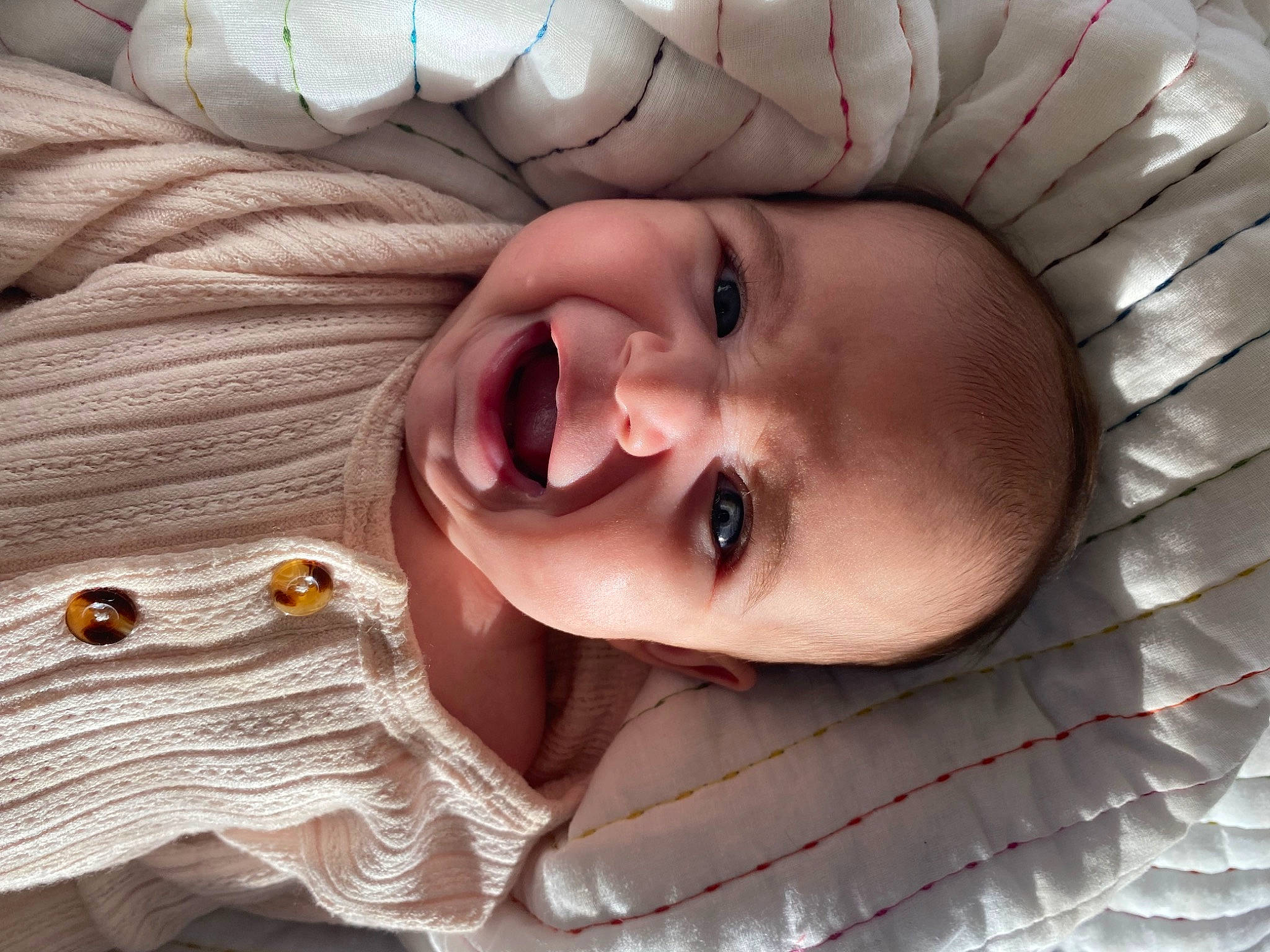 Berkley joined the competition — help win amazing prizes! cheek, chin, eye, eyebrow, eyelash, face, facial_expression, happy, head, human_body, iris, lip, mouth, muscle, nose, organ, person, skin, smile, tooth