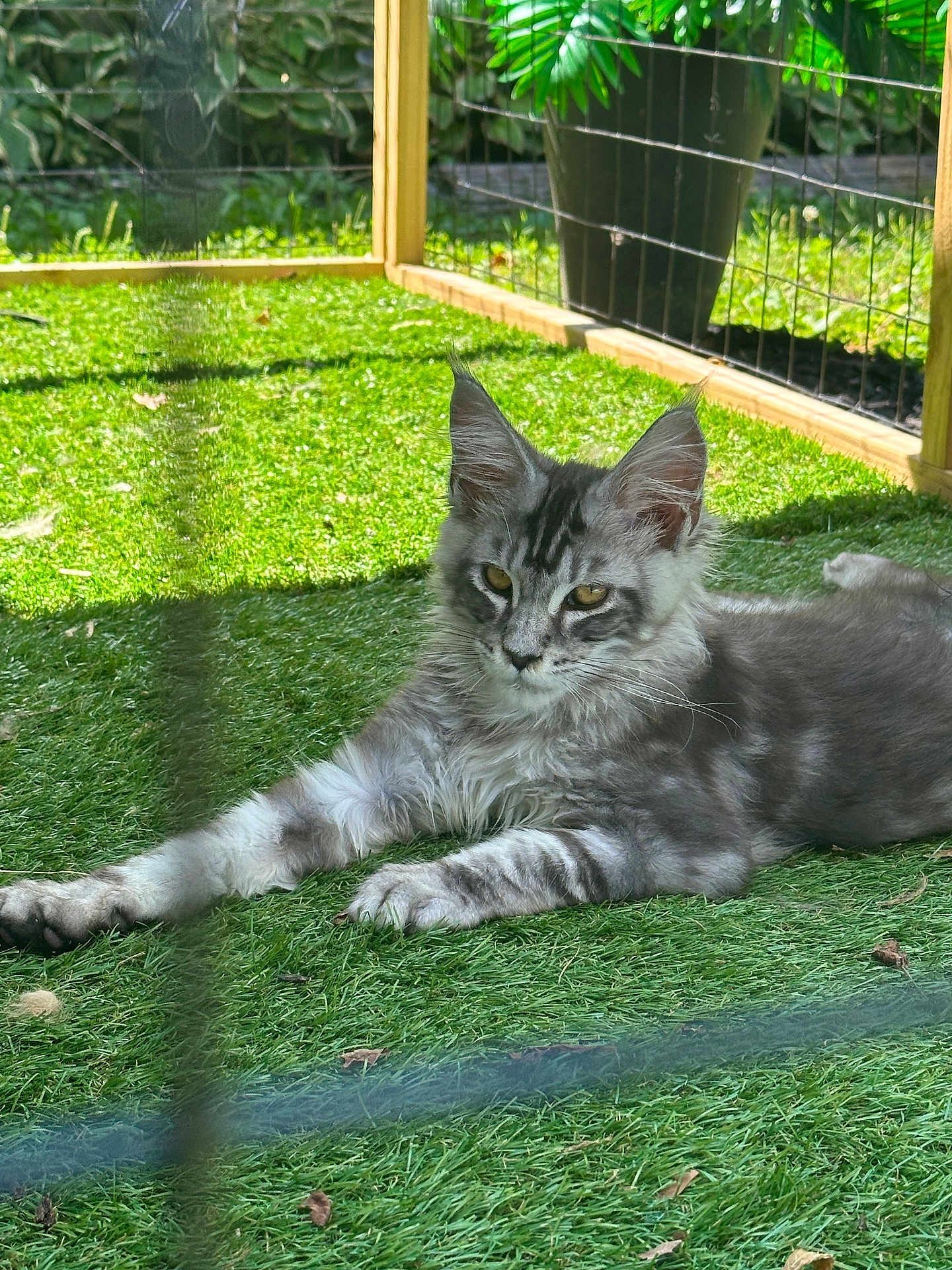 Sebastian