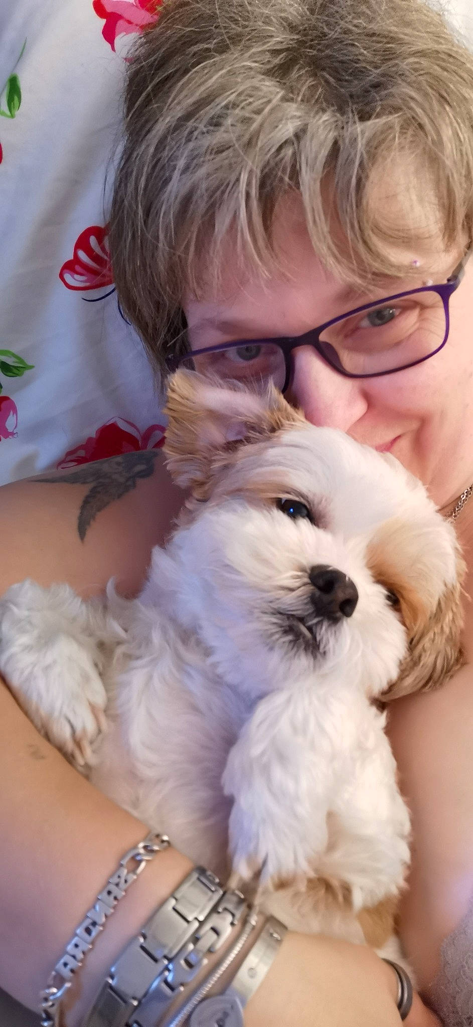 Cachou a rejoint le concours — aidez-le/la à gagner de superbes lots ! carnivore, companion_dog, dog, dog_breed, ear, eye, eyewear, face, fur, glasses, hair, happy, head, jewellery, nose, snout, sunglasses, toy_dog, vision_care, working_animal