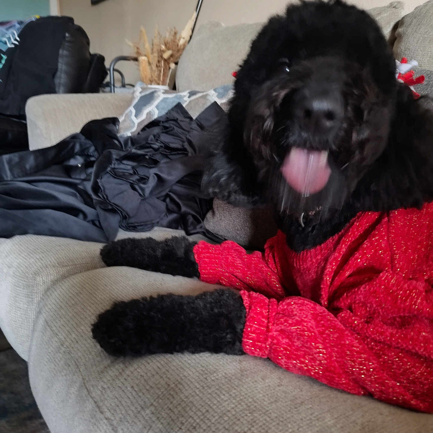 Lila