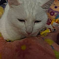 Sukaina H.