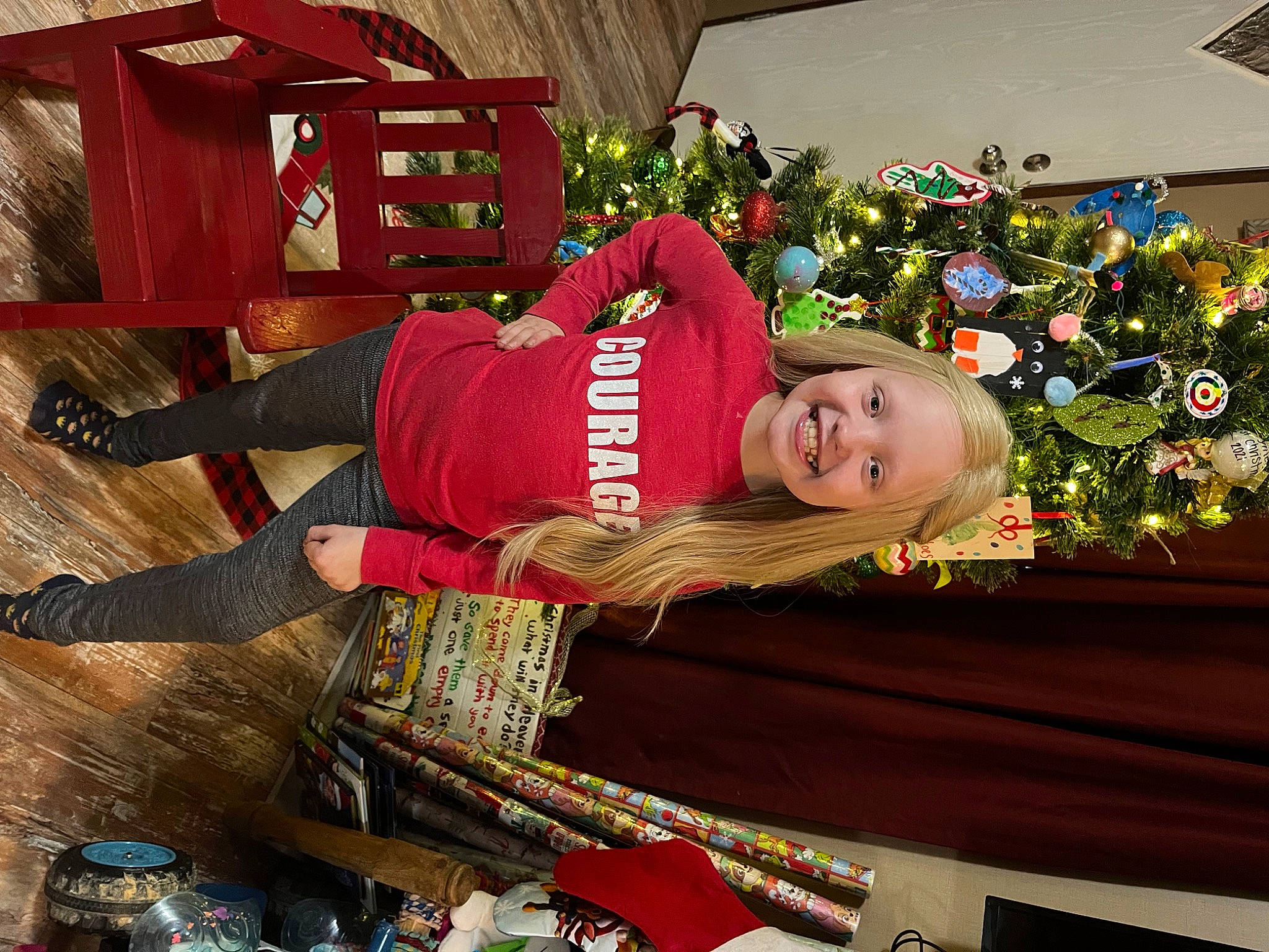 Baylee joined the competition — help win amazing prizes! carmine, christmas, christmas_decoration, christmas_eve, christmas_ornament, christmas_tree, event, fun, happy, hardwood, holiday, holiday_ornament, interior_design, joy, lap, ornament, person, plant, room, tradition