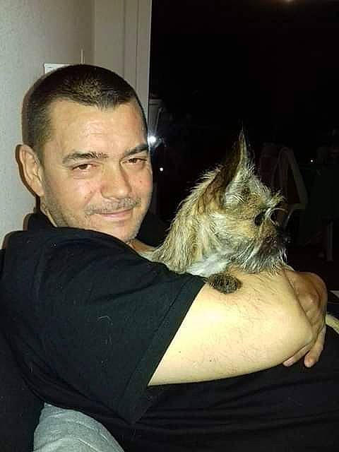 Chiara participe au concours pour gagner de l'argent avec cette photo : cairn_terrier, carnivoran, companion_dog, dog, dog_breed, dog_breed_group, dog_like_mammal, ear, joy, mammal, person, snout, vertebrate