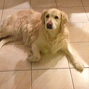 Vandy a rejoint le concours — aidez-le/la à gagner de superbes lots !