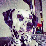 Farceur a rejoint le concours — aidez-le/la à gagner de superbes lots !