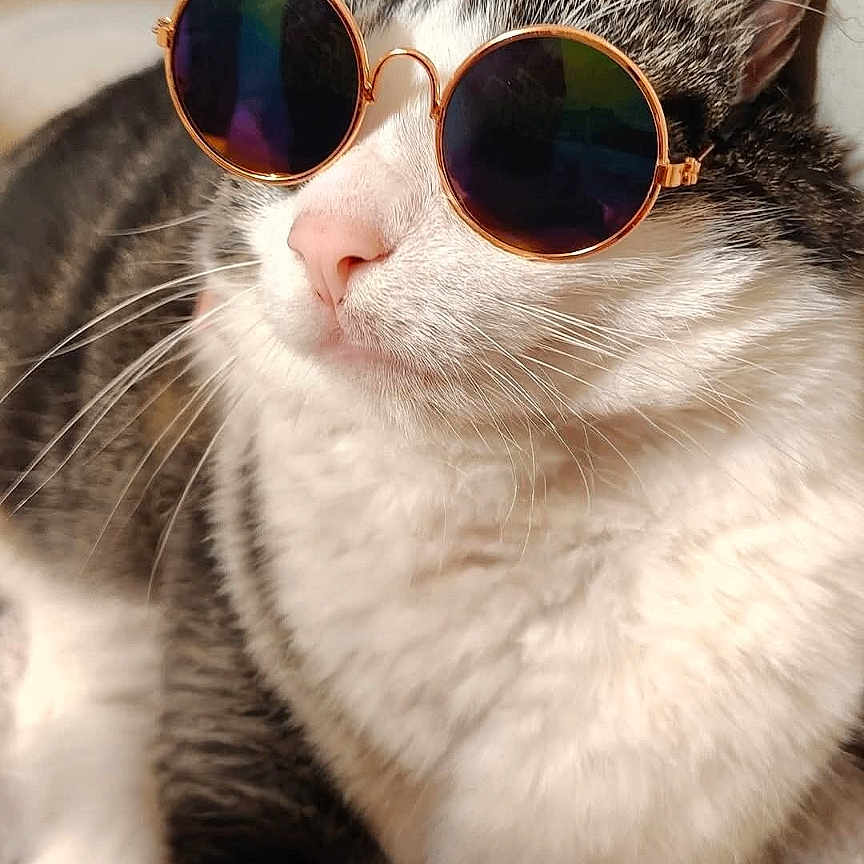 Bubbs