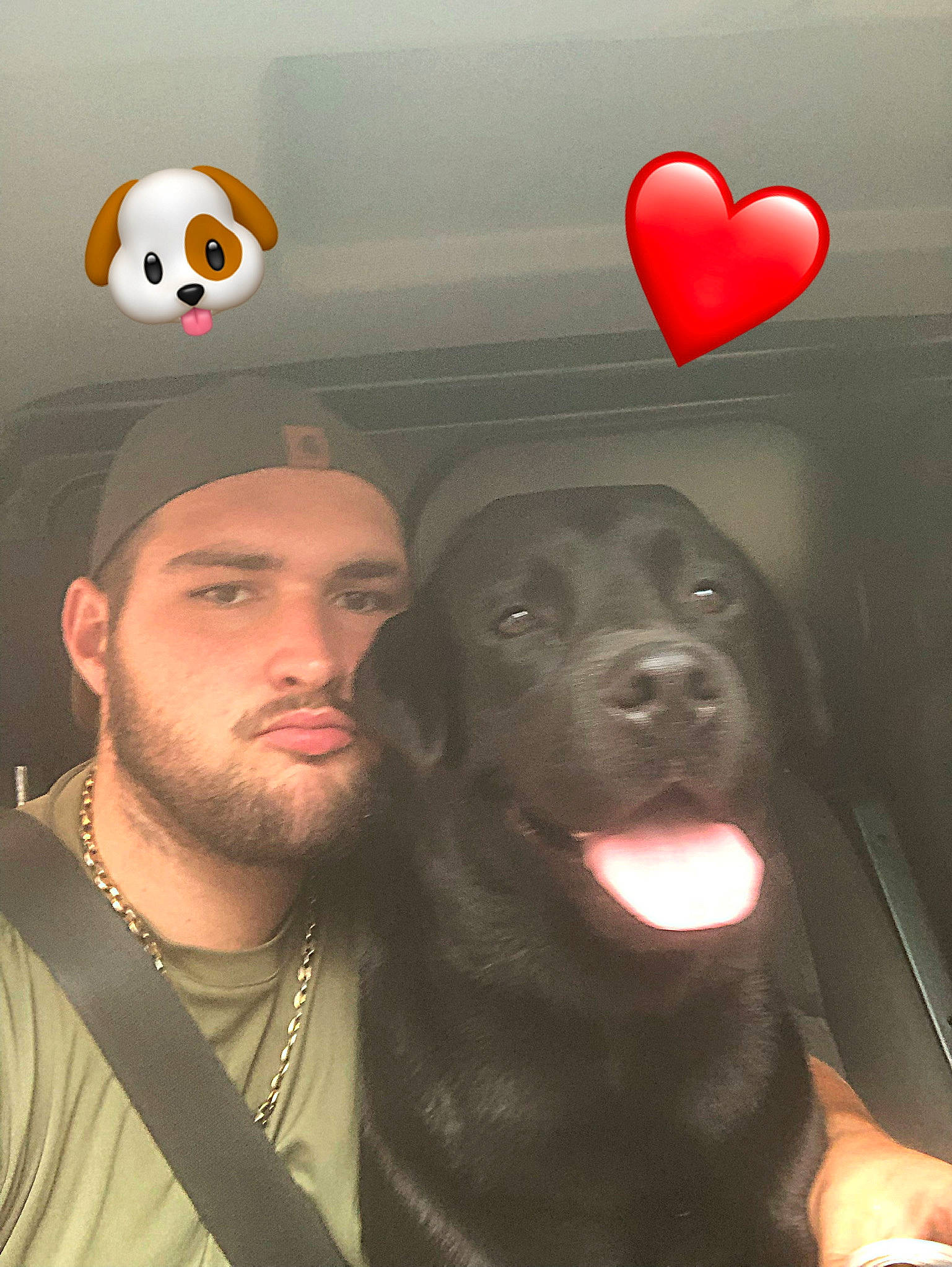 Mokka a rejoint le concours — aidez-le/la à gagner de superbes lots ! beard, black, cap, carnivore, companion_dog, dog, dog_breed, event, facial_hair, flash_photography, fun, fur, hat, human, light, logo, magenta, moustache, organ, sporting_group