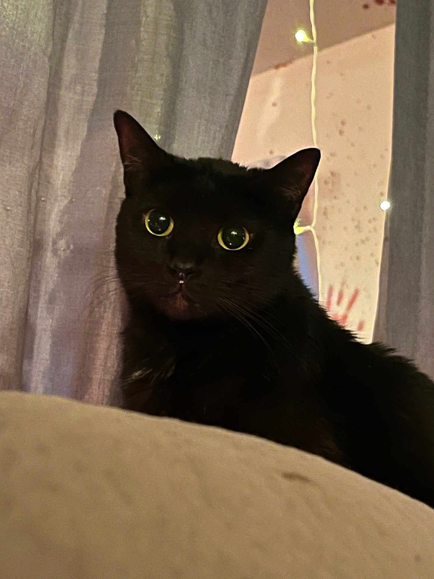 Loaf