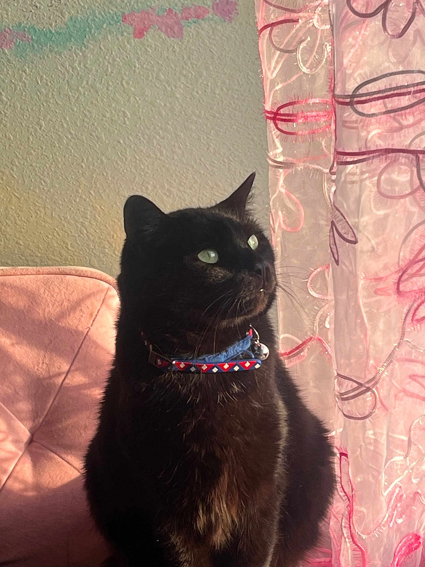 Mouschi