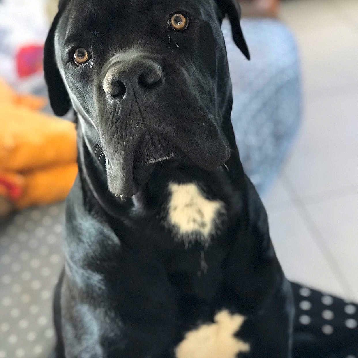 Patch