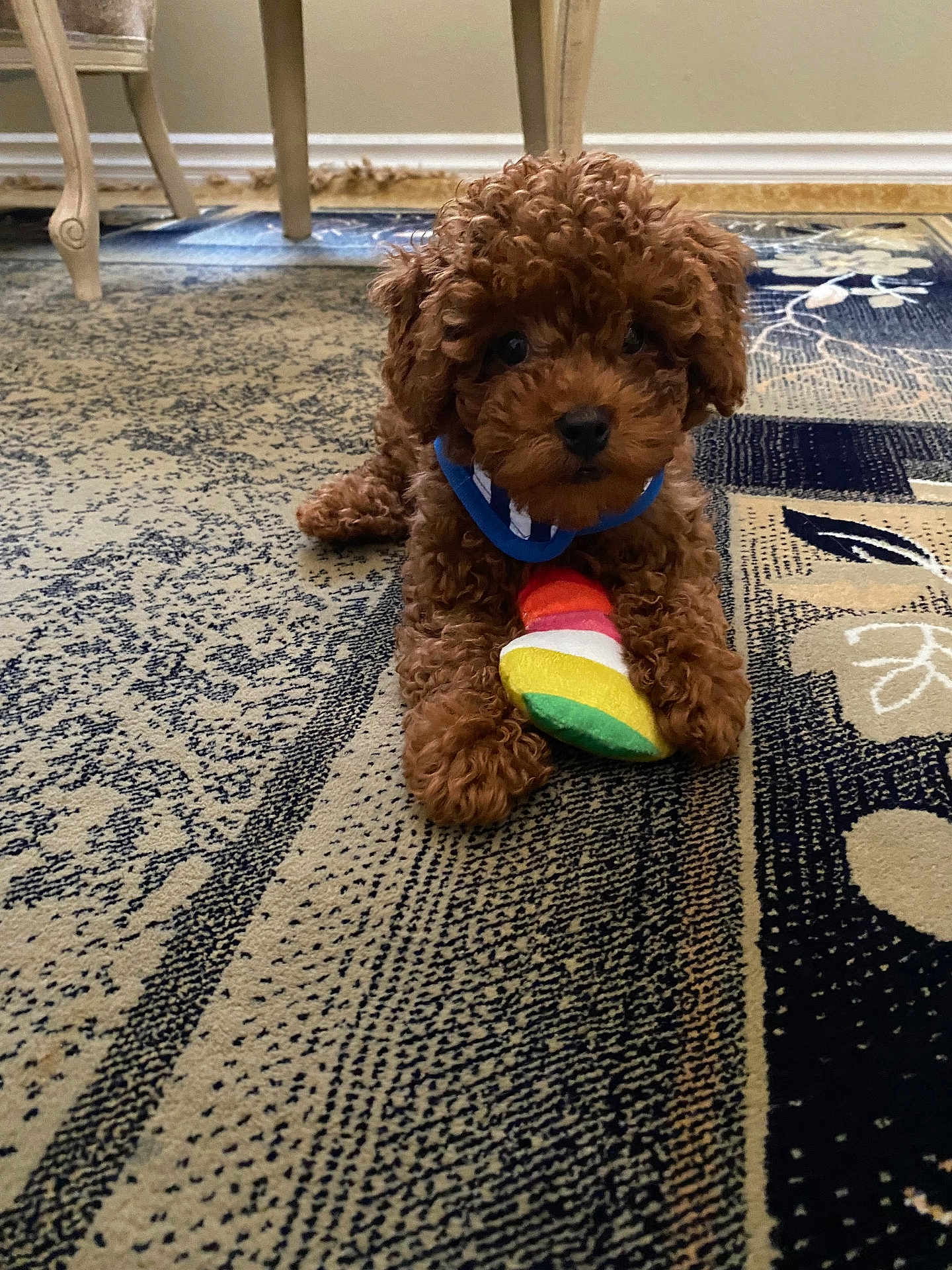 Milo