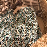 Rocky is registered to the contest to win money with this photo: animal, blanket, cat, comfort, cozy, crocheted, ear, fur, hidden, indoor, patterned, paw, pet, plush, relaxation, resting, snuggled, soft, texture, warm