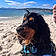 Achille