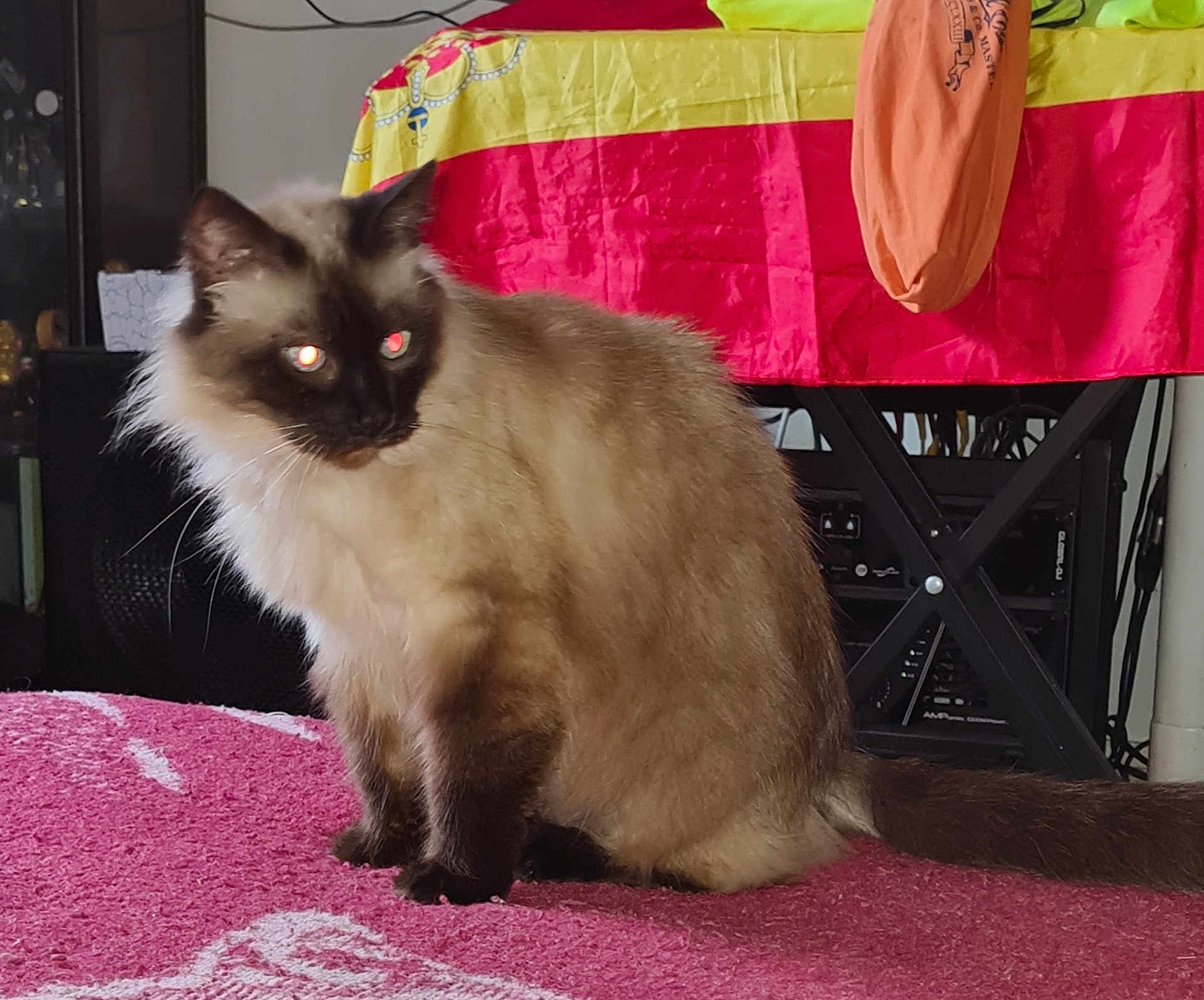 Marley
