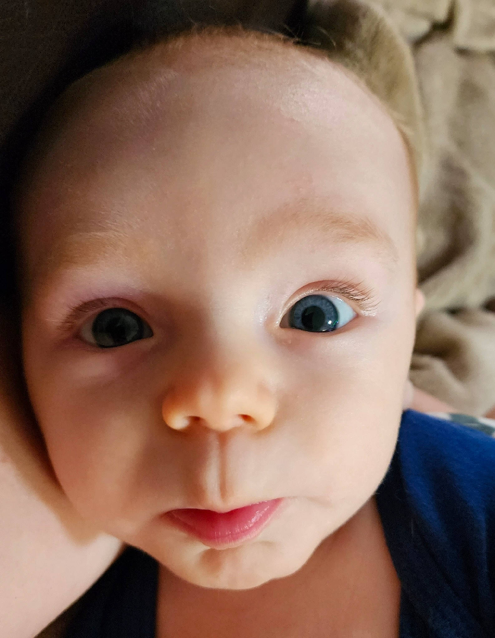 Bear joined the competition — help win amazing prizes! baby, baby_toddler_clothing, cheek, child, close_up, ear, eyebrow, eyelash, flash_photography, forehead, happy, iris, lip, mouth, no_expression, nose, person, portrait_photography, skin, toddler
