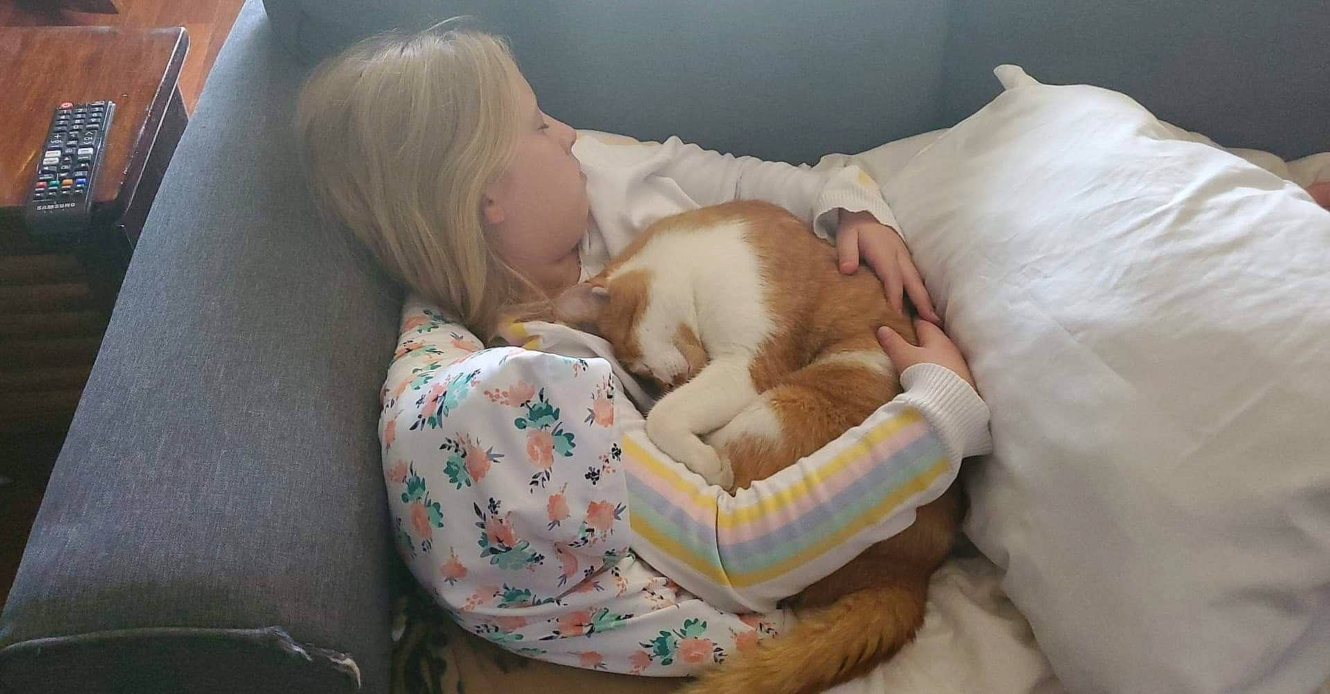 Oscar joined the competition — help win amazing prizes! baby_sleeping, bedtime, carnivore, child, comfort, companion_dog, couch, fawn, felidae, fur, gesture, happy, hug, interaction, linens, long_hair, small_to_medium_sized_cats, stuffed_toy, toy, whiskers