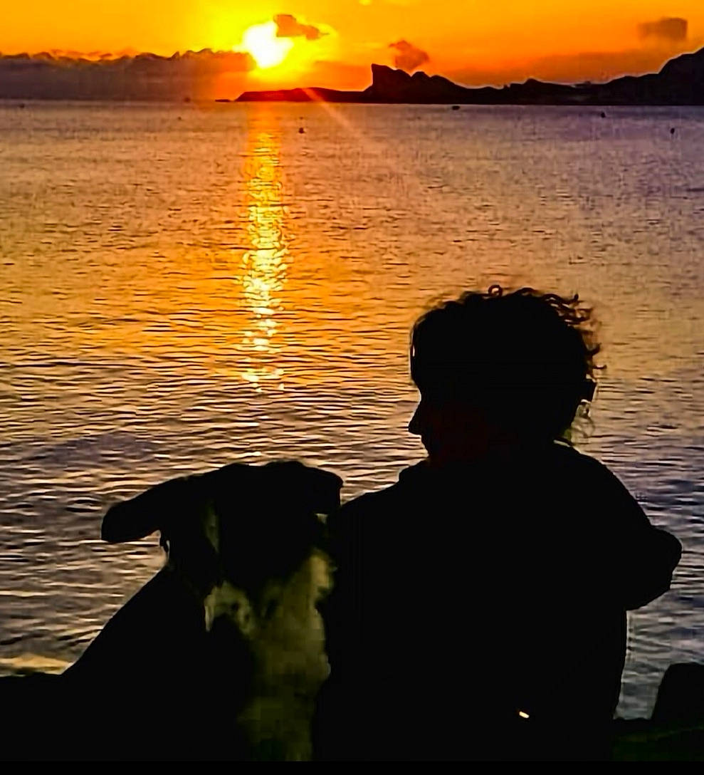 Titoune a rejoint le concours — aidez-le/la à gagner de superbes lots ! afterglow, beach, body_of_water, carnivore, cloud, dog, dusk, horizon, lake, light, nature, people_in_nature, photograph, red_sky_at_morning, sky, sunlight, sunrise, sunset, water, water_resources