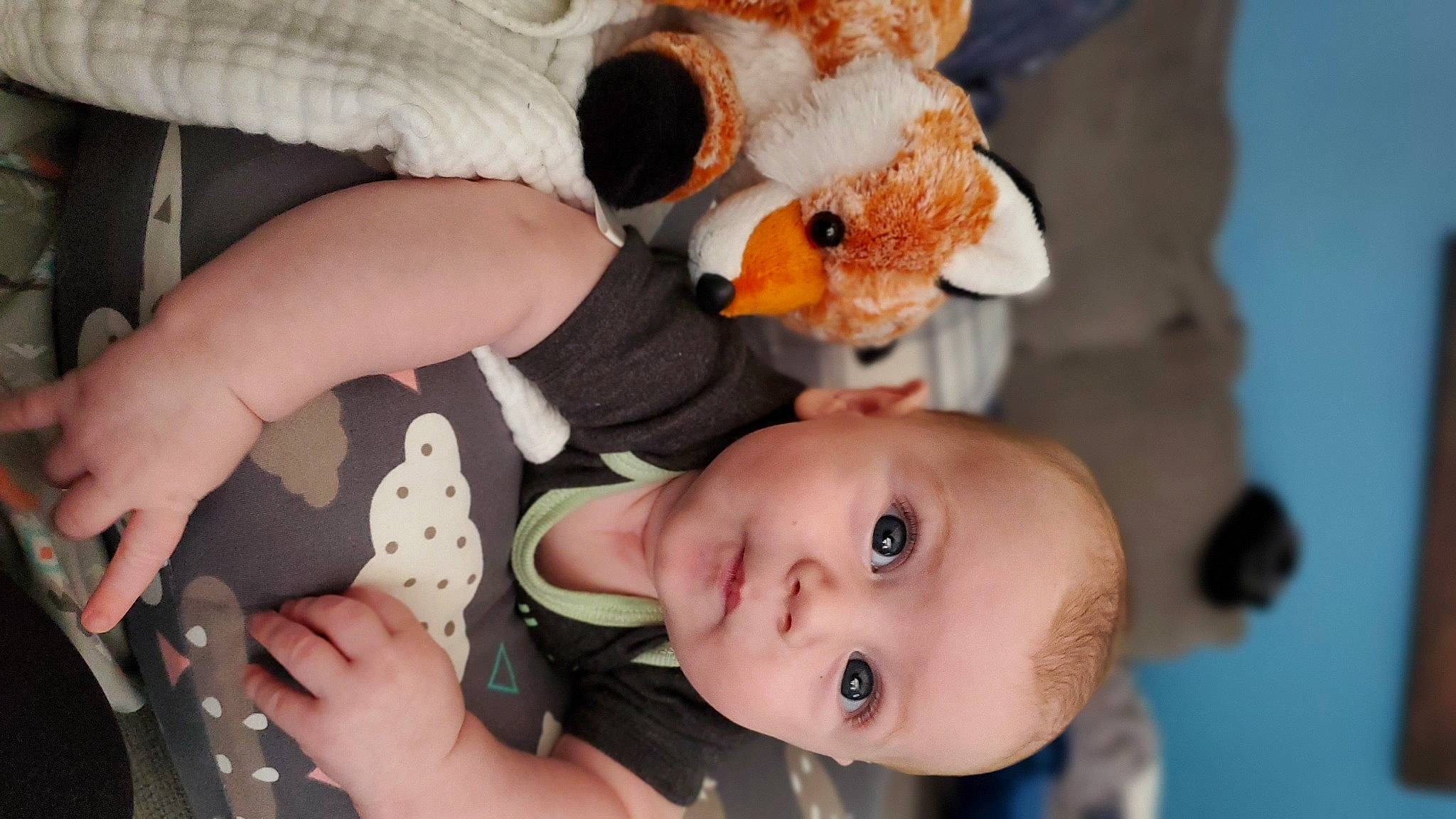 Josiah is registered to the contest to win money with this photo: baby, baby_products, baby_toddler_clothing, baby_toys, cheek, child, ear, eyelash, finger, fur, gesture, happy, nose, person, plush, skin, stuffed_toy, thumb, toddler, toy