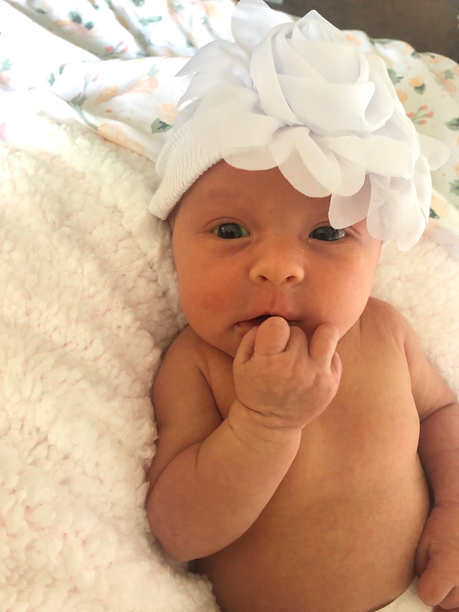 Clover is registered to the contest to win money with this photo: baby, baby_toddler_clothing, cheek, child, face, fashion_accessory, hair_accessory, head, headgear, headwear, person, skin, smile, toddler