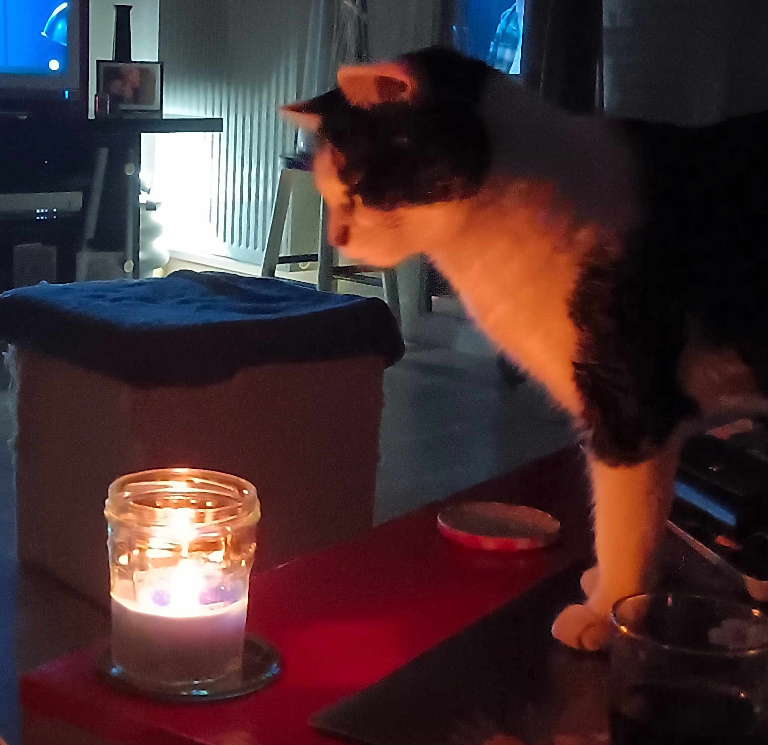 Zizou a rejoint le concours — aidez-le/la à gagner de superbes lots ! candle, candlelight, cat, cozy, curious, flame, furniture, glass, glow, indoor, jar, living_room, night, ottoman, paw, pet, shadow, stool, table, television