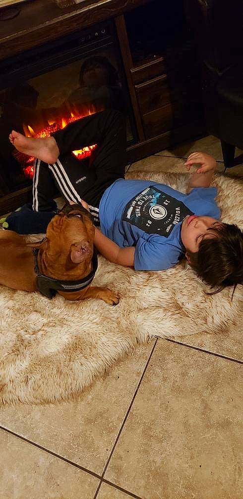 Louis joined the competition — help win amazing prizes! floor, flooring