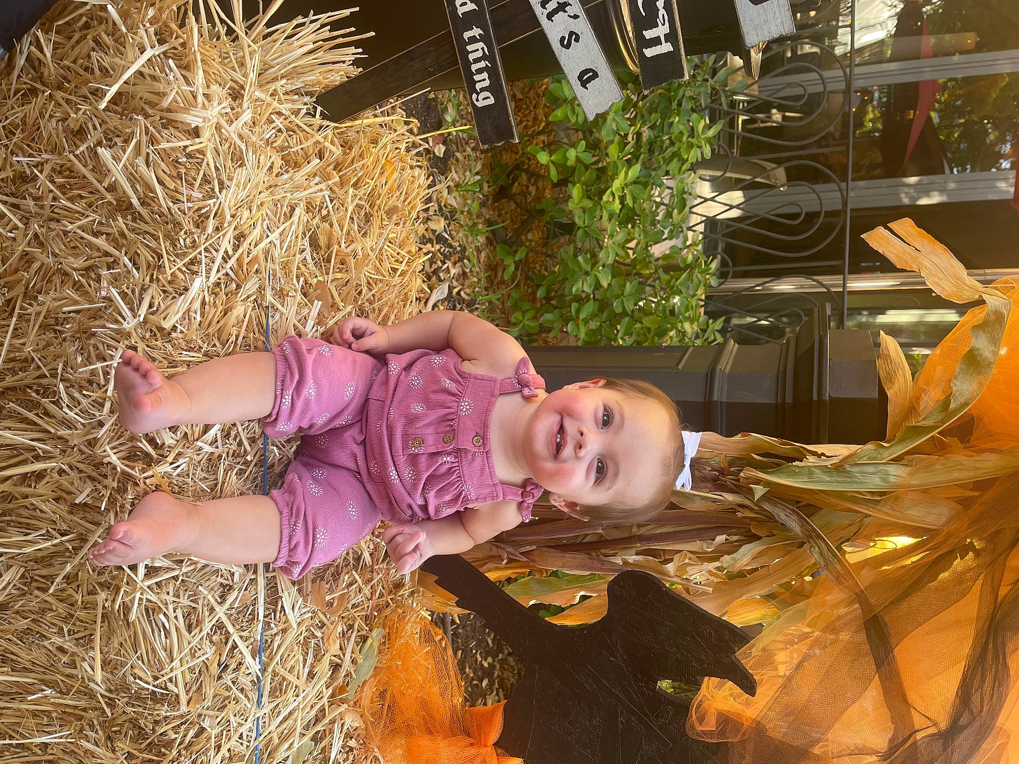 Brylee is registered to the contest to win money with this photo: agriculture, baby_toddler_clothing, child, fun, grass, happy, hay, joy, people_in_nature, person, plant, smile, soil, straw, toddler, wood