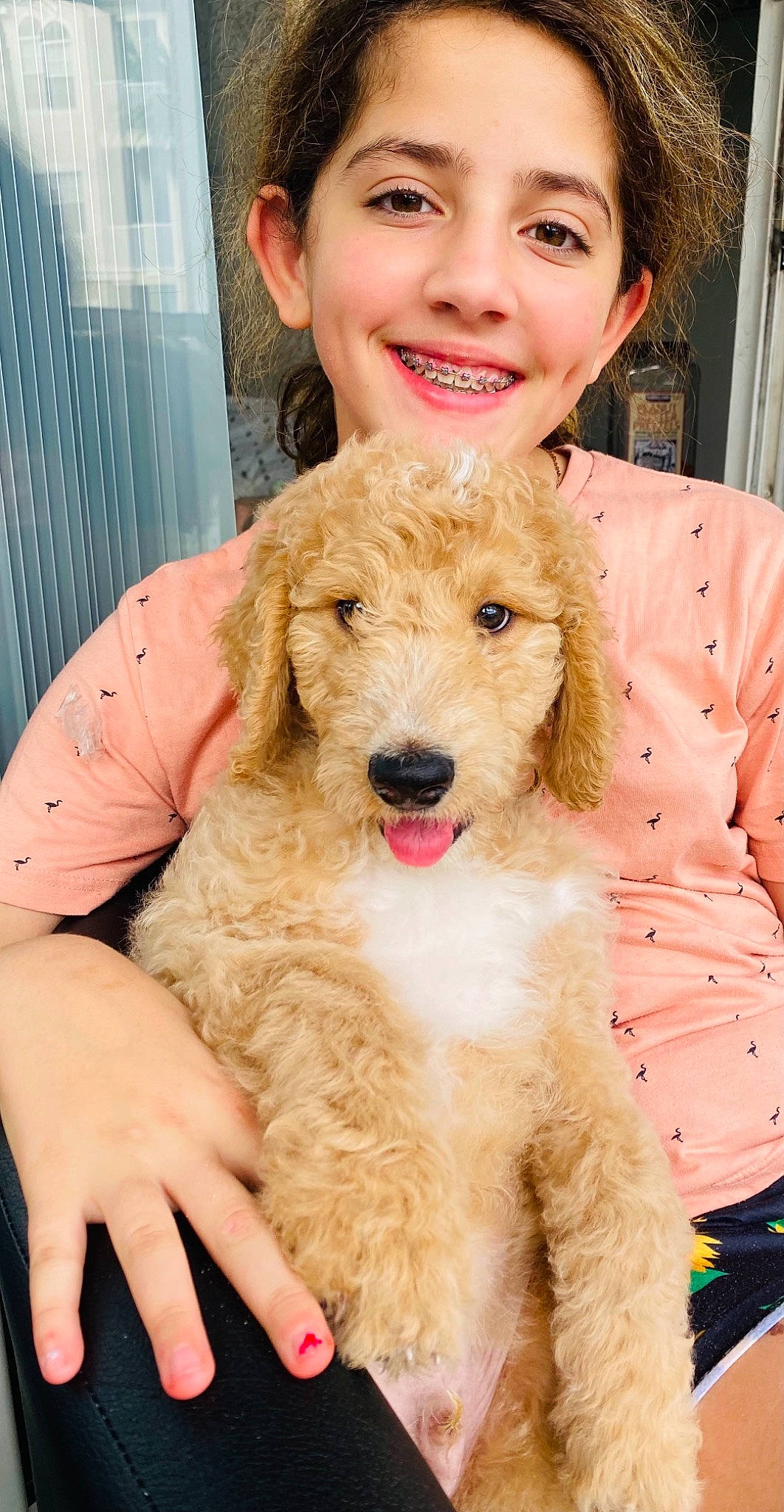 Ace joined the competition — help win amazing prizes! canidae, carnivore, child, companion_dog, dog, dog_breed, ear, eyewear, fawn, fur, happy, maltepoo, pink, poodle, smile, snout, sporting_group, terrier, toy_dog, yellow