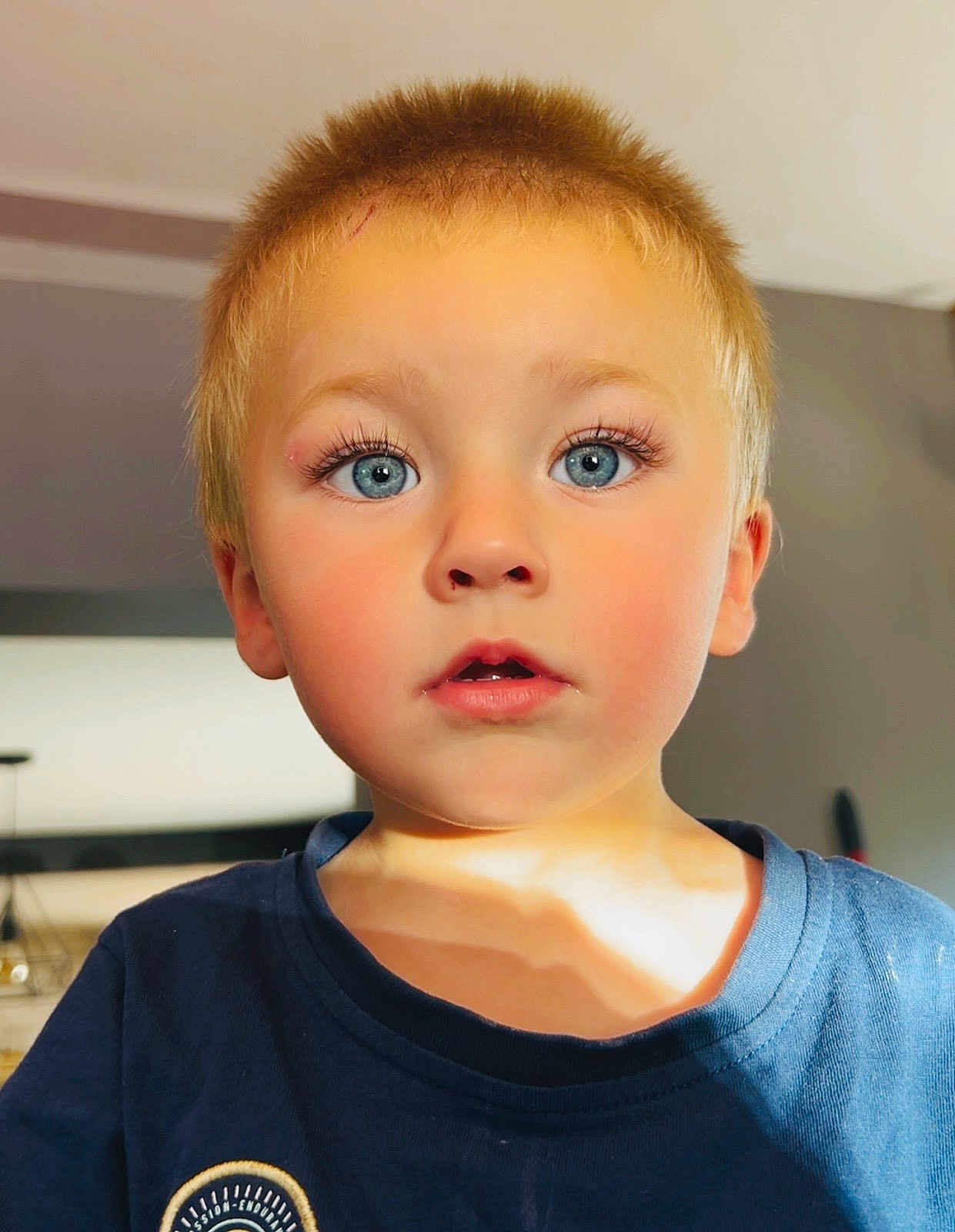 Diego Pieddefer participe au concours pour gagner de l'argent avec cette photo : child, boy, blue_eyes, blonde_hair, indoor, portrait, close_up, casual_clothing, sunlight, face, expression, young, curious, toddler, skin, eyelashes, hair, head_and_shoulders, shirt, daylight