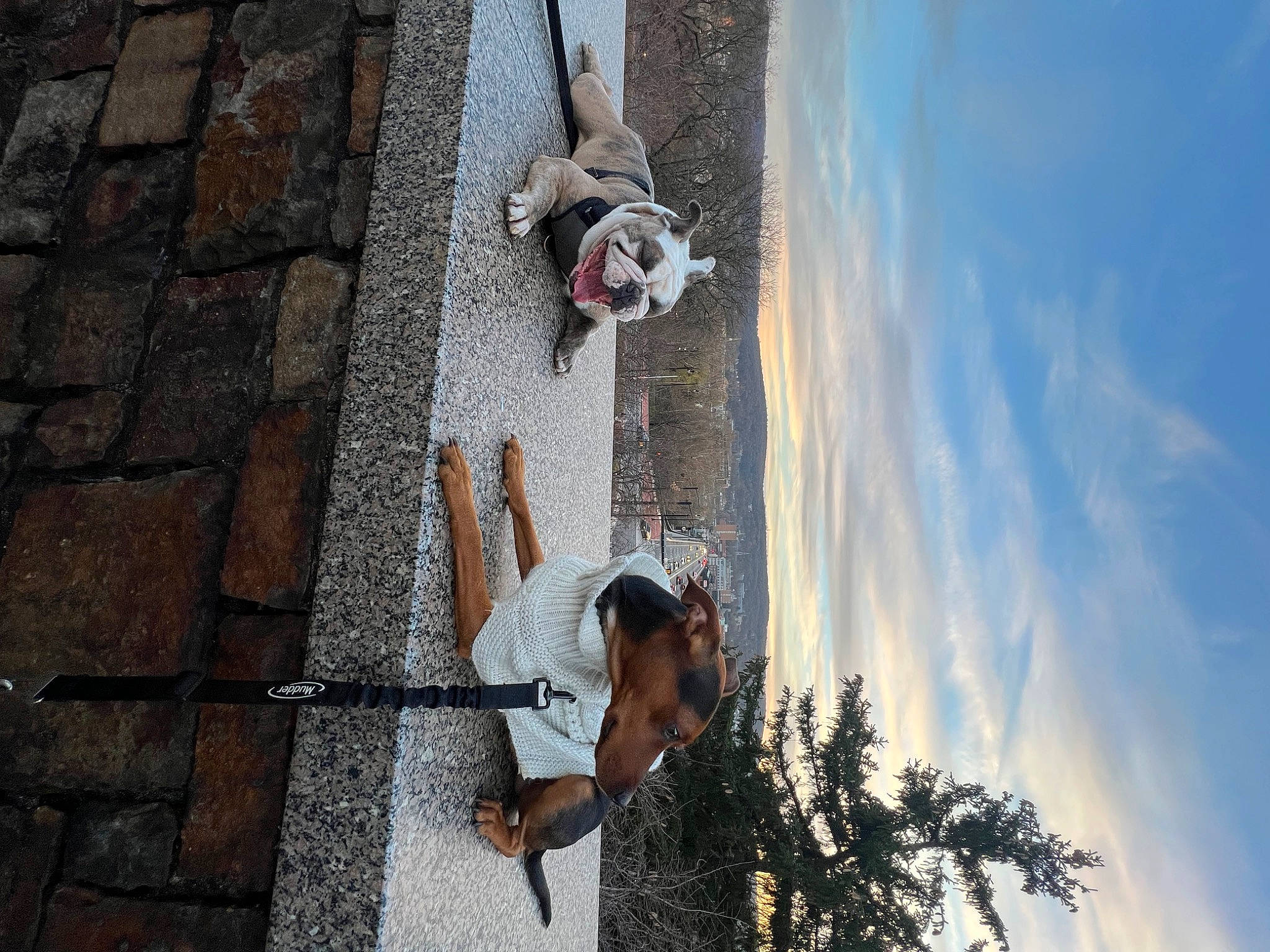 Cash joined the competition — help win amazing prizes! adventure, asphalt, brick, cement, cloud, cobblestone, concrete, facade, flooring, leisure, plant, recreation, reflection, road_surface, shadow, sidewalk, sky, street, tree, water