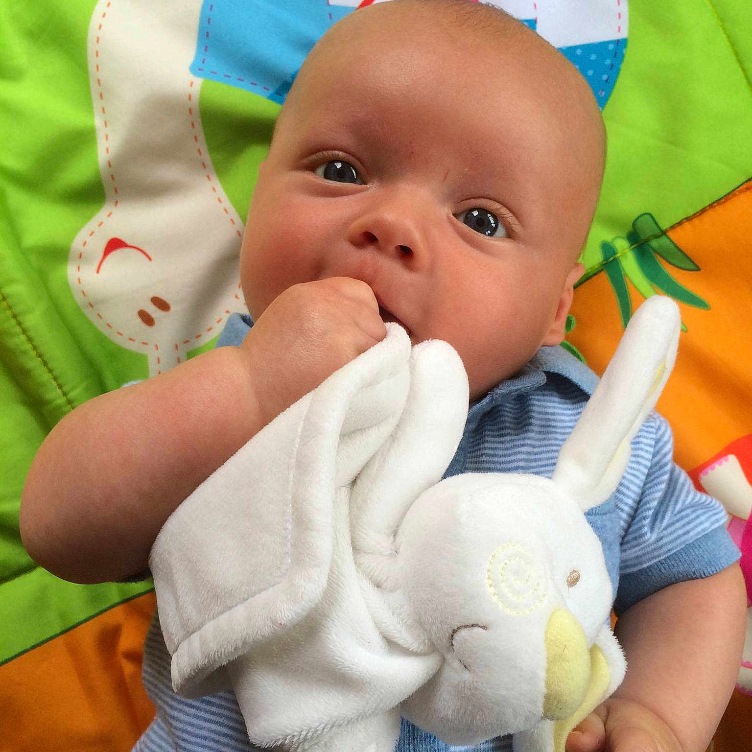 Bertie is registered to the contest to win money with this photo: