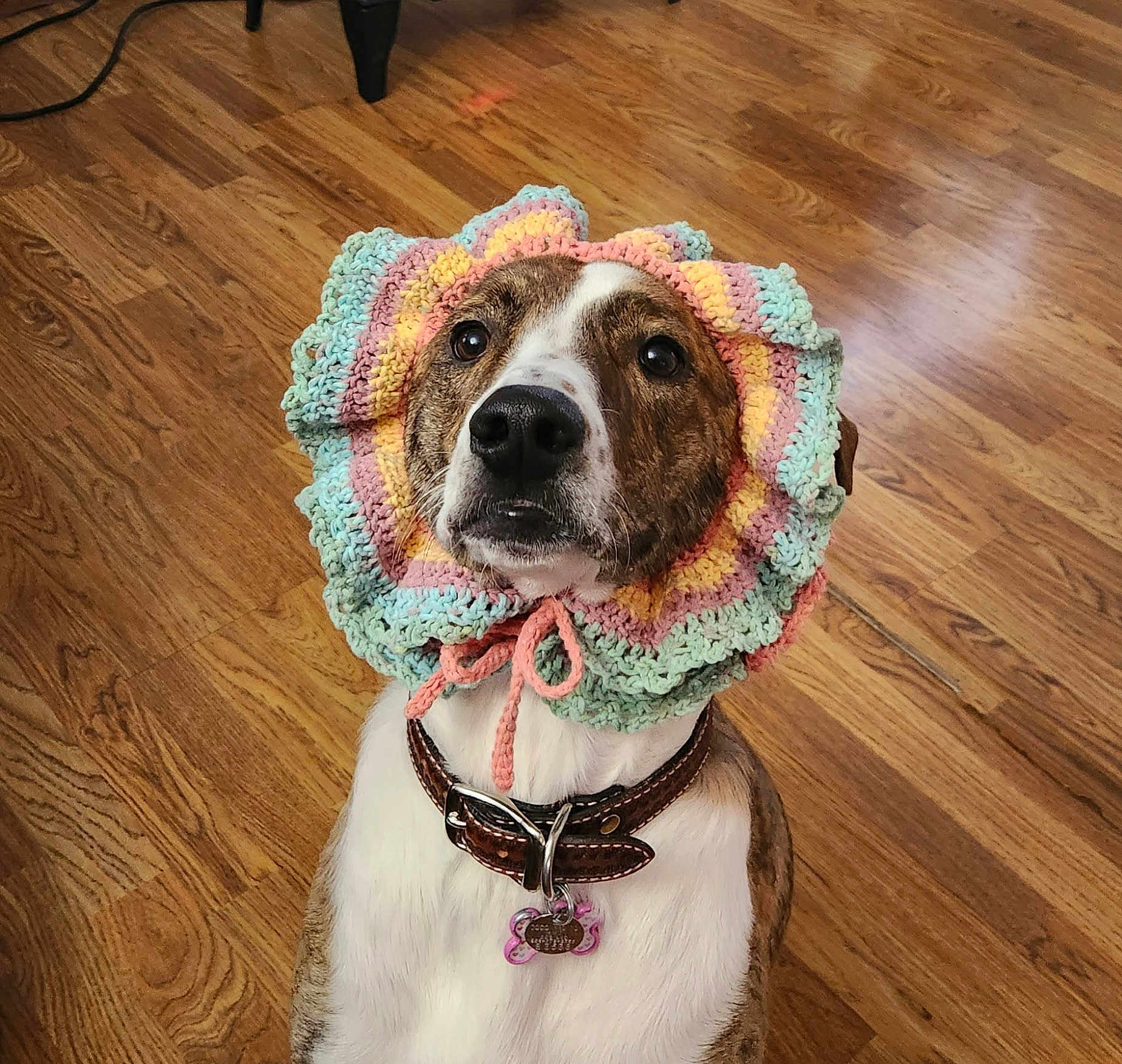 Coco