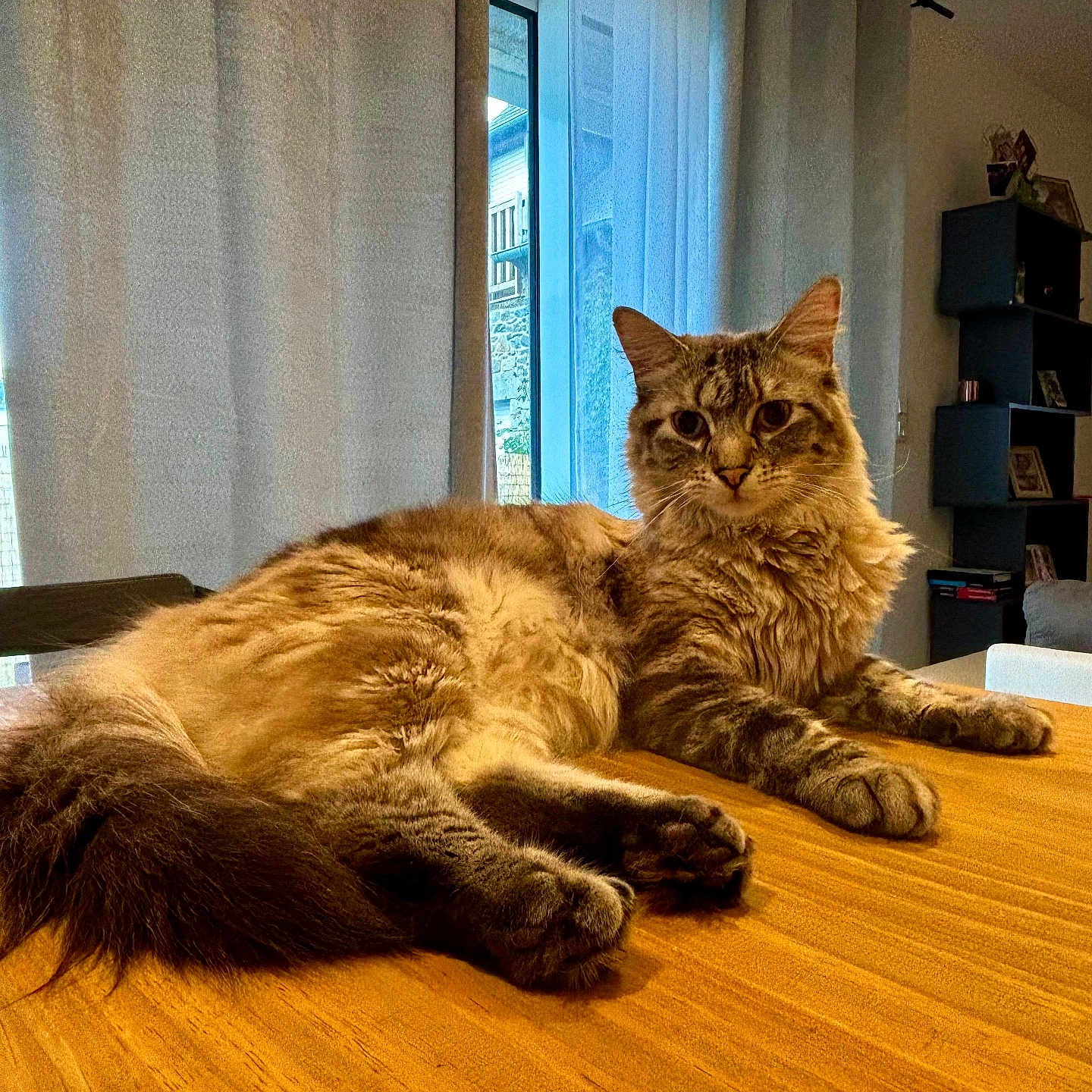 Yoda