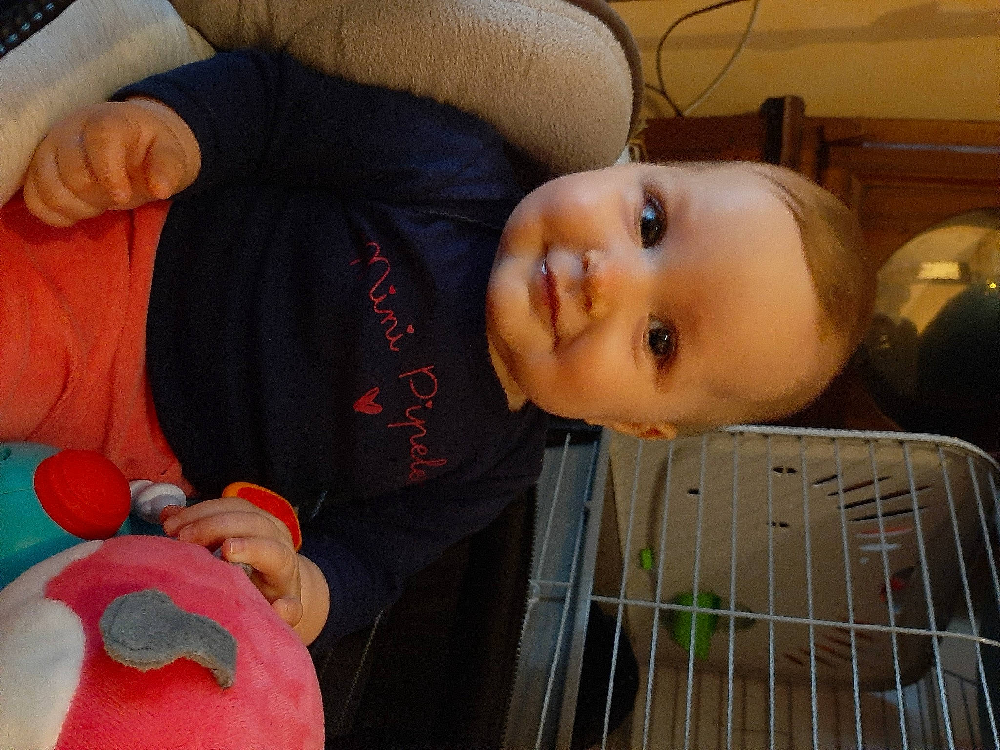 Gwendoline participe au concours pour gagner de l'argent avec cette photo : baby, baby_products, baby_safety, baby_toys, cheek, child, eye, face, head, iris, joy, lip, mouth, nose, person, product, skin, toddler