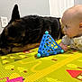 Ryder joined the competition — help win amazing prizes! baby, dog, german_shepherd, toy, play_mat, indoor, child, curious, pet, animal, floor, colorful, crawling, chewing, mammal, human, young, interaction, side_view, casual