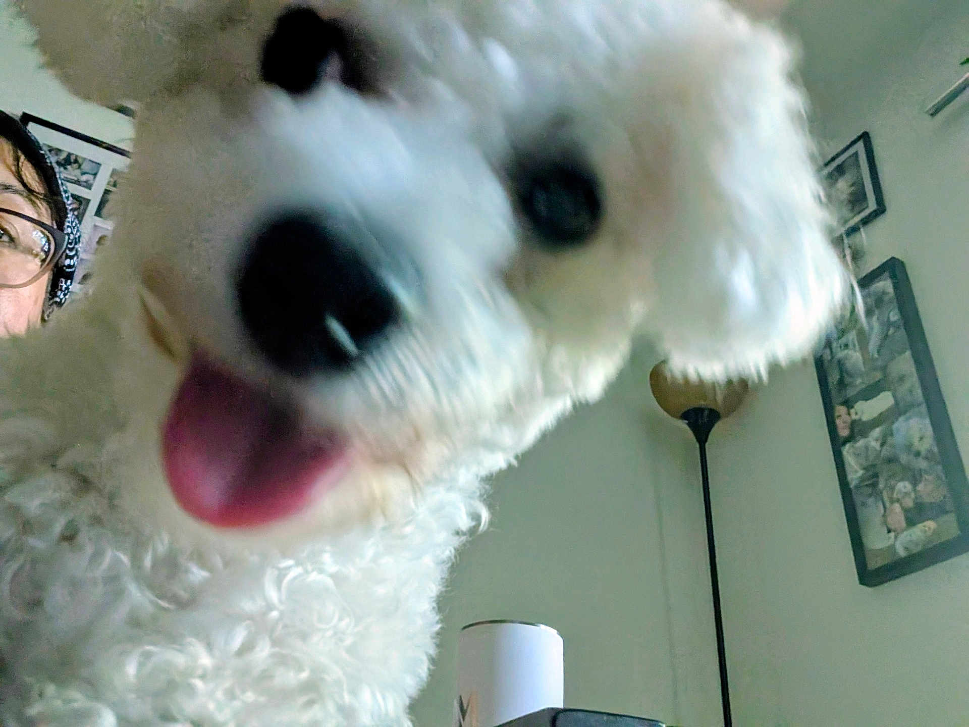 Pepito
