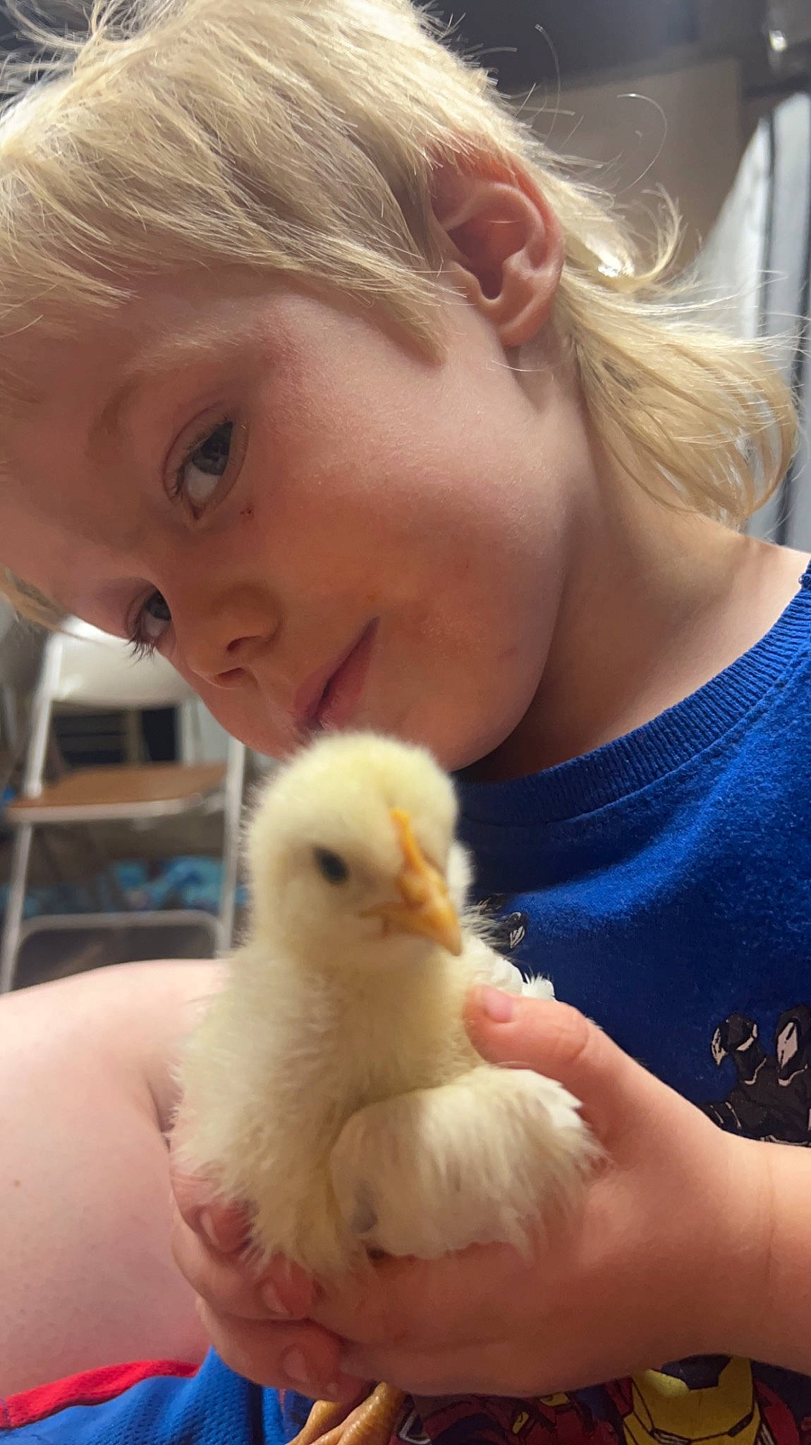 Jace joined the competition — help win amazing prizes! _geese_and_swans, beak, beauty, bird, chicken, child, ducks, eye, finger, fowl, iris, livestock, mammal, neck, nose, organ, person, poultry, skin, toy
